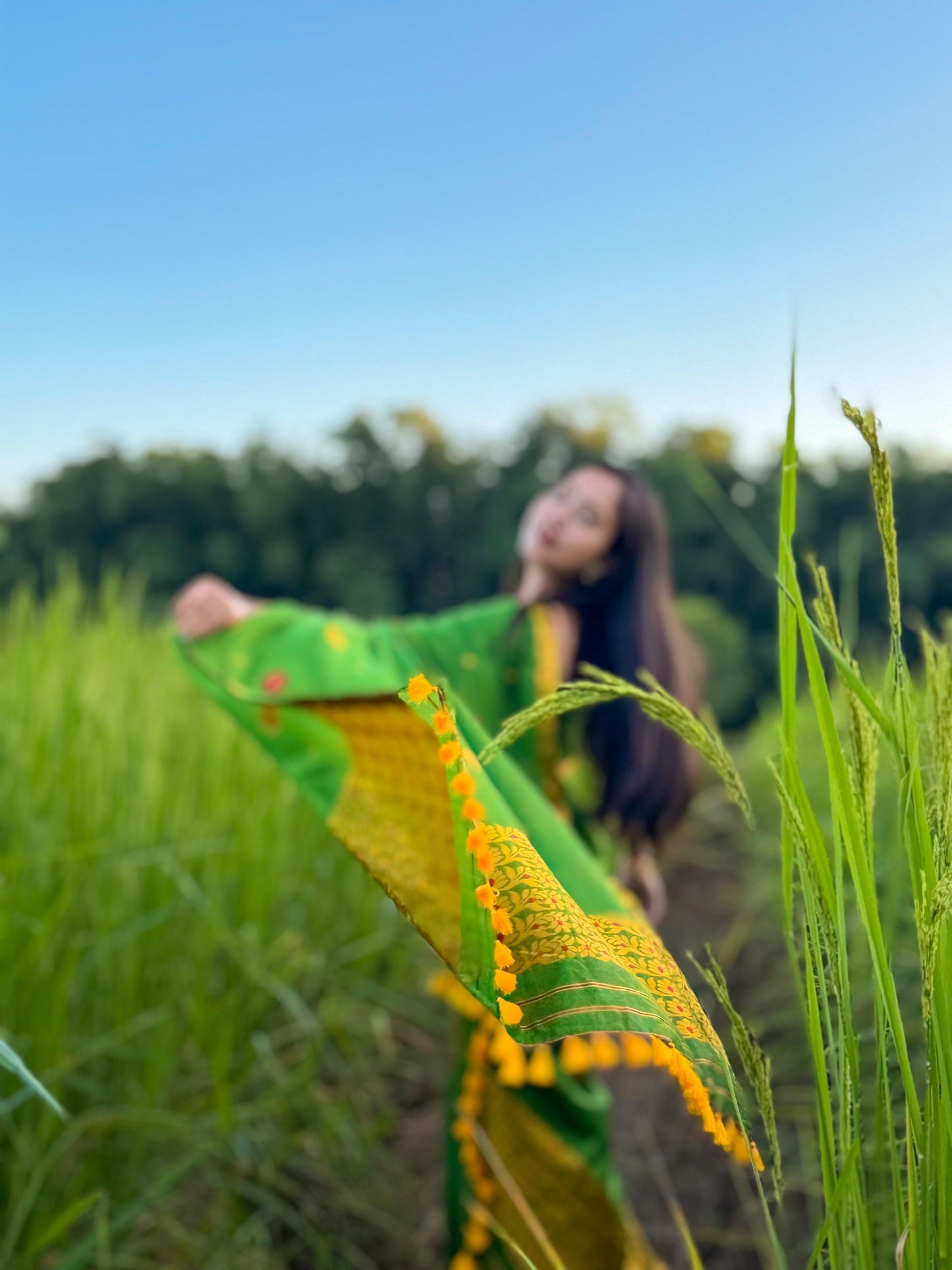 Jahnabi's seleced Mekhela Chador