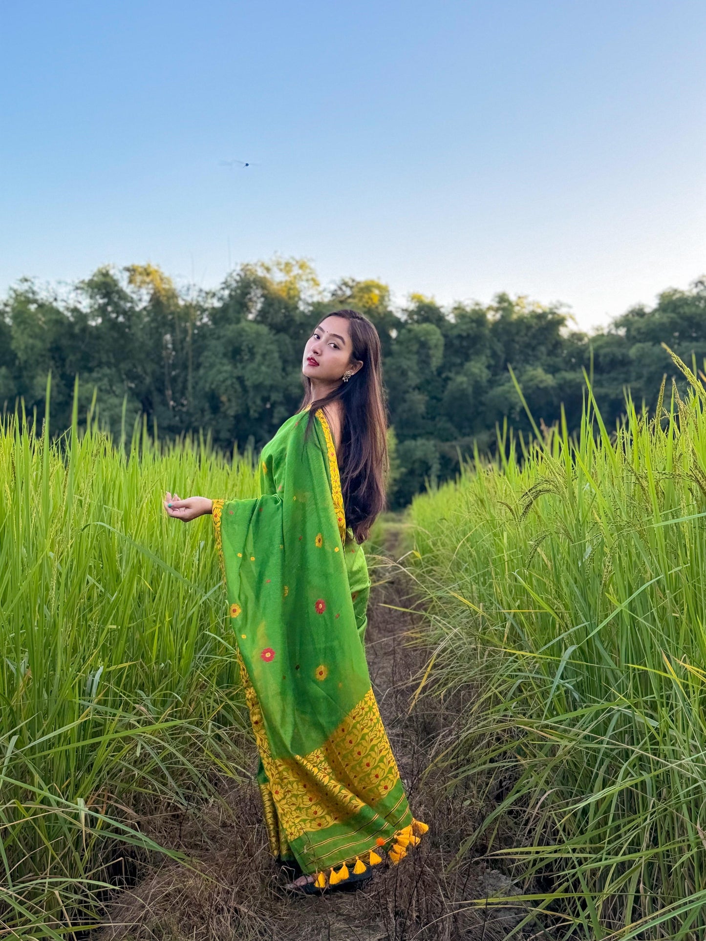 Jahnabi's seleced Mekhela Chador